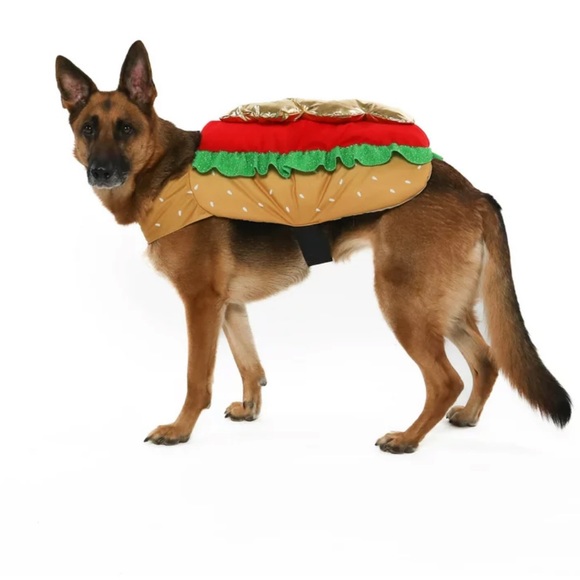 Other - CL hotdog costume for dogs